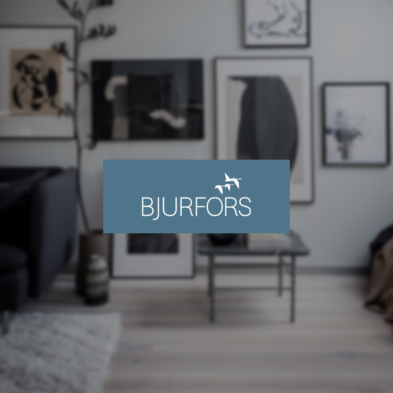 bjurfors-hubspot-case-study