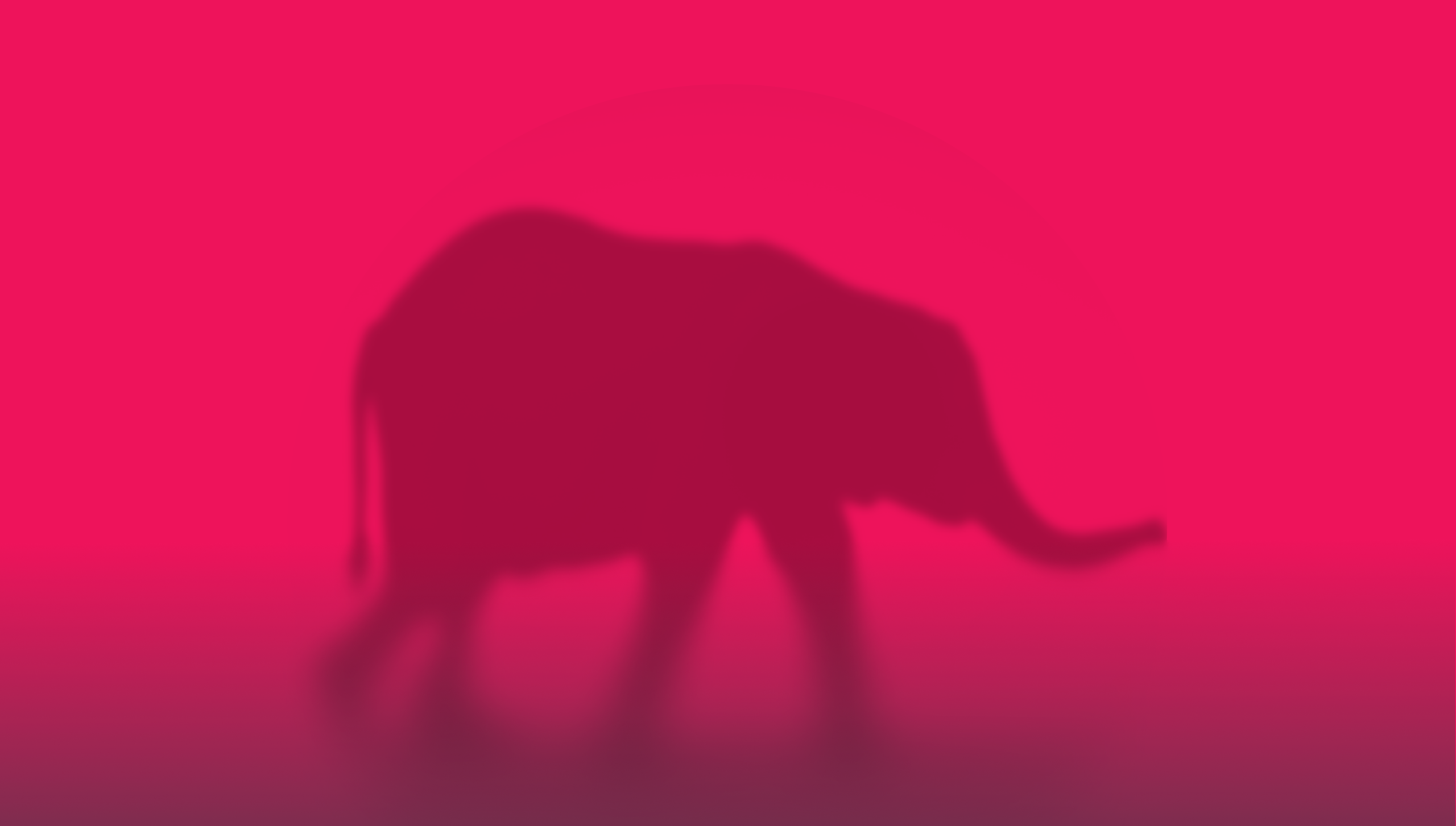 Elefanten i styrelserummet