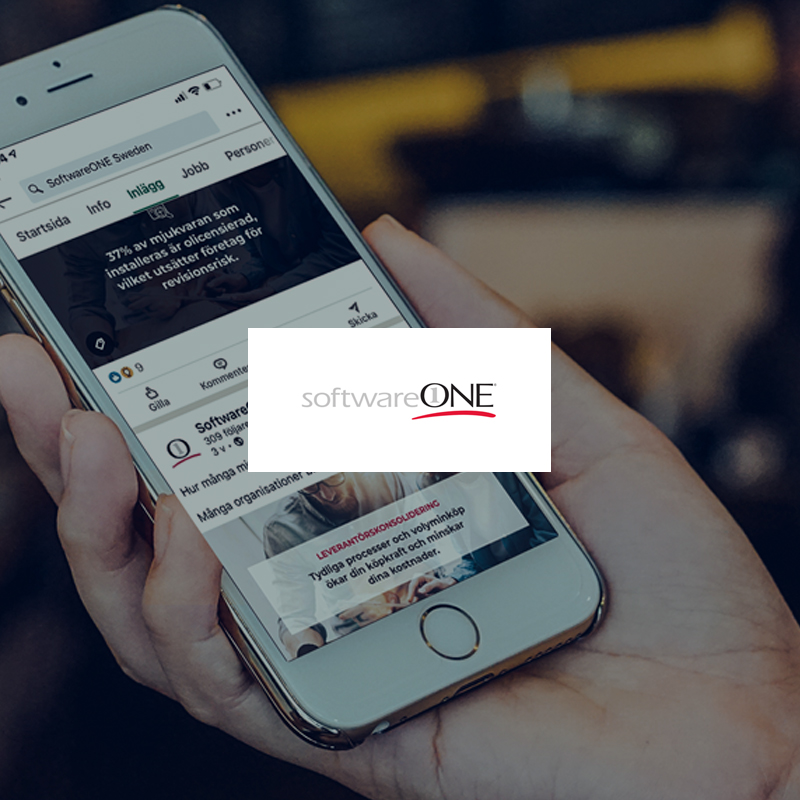 softwareone-inbound-case-study